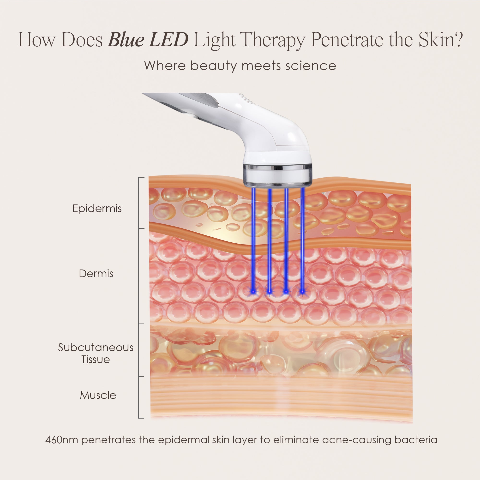 Blue LED+ anti-acne wand showing skin infographic on how blue light penetrates the skin for acne-fighting